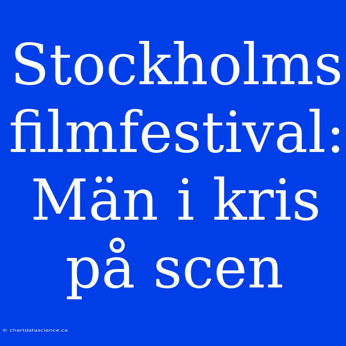 Stockholms Filmfestival: Män I Kris På Scen