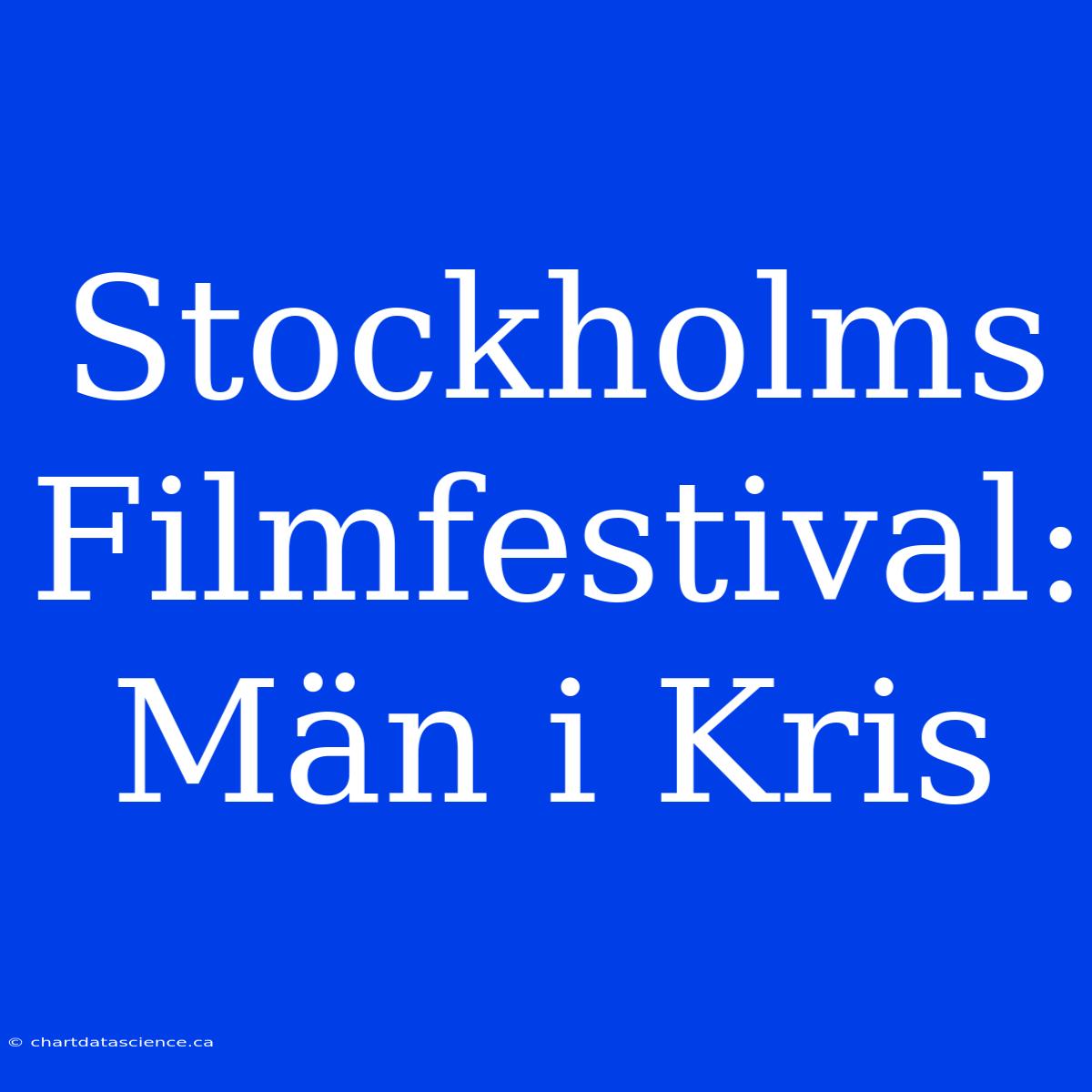 Stockholms Filmfestival: Män I Kris