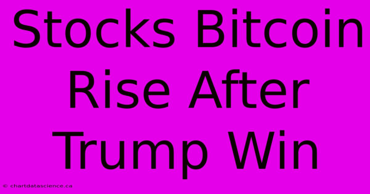 Stocks Bitcoin Rise After Trump Win