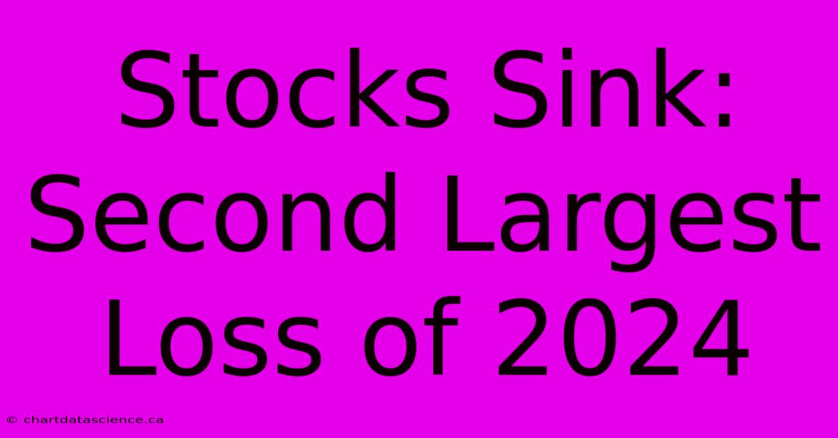 Stocks Sink: Second Largest Loss Of 2024