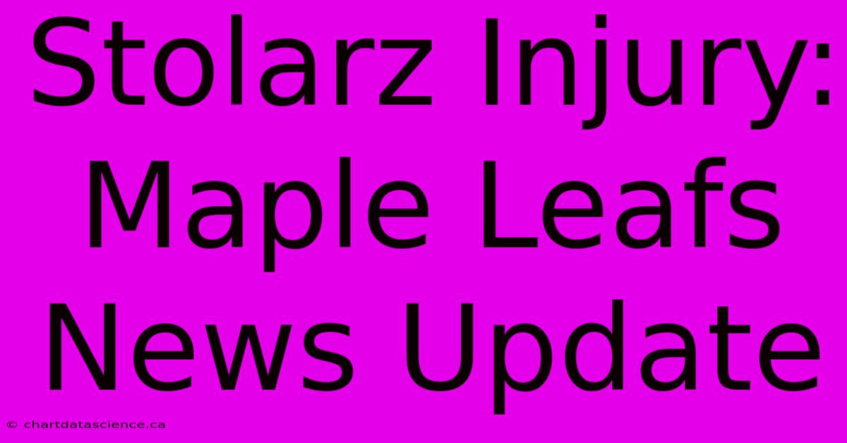 Stolarz Injury: Maple Leafs News Update