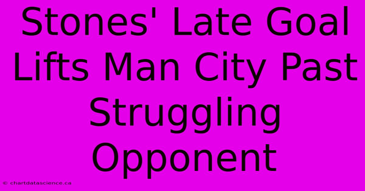 Stones' Late Goal Lifts Man City Past Struggling Opponent