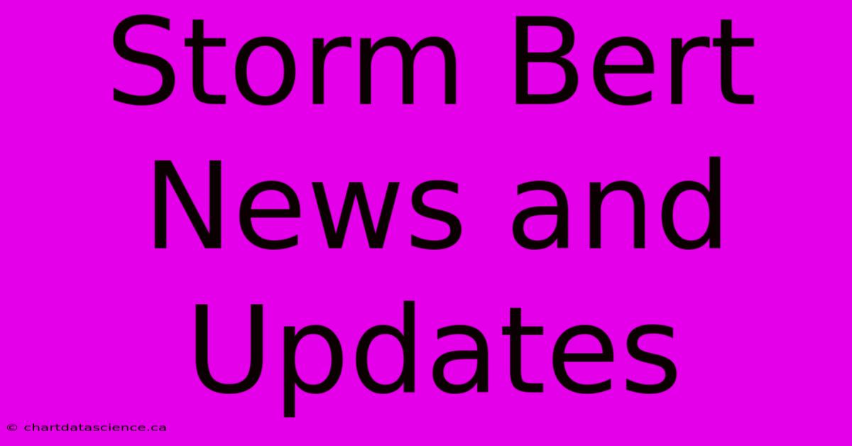 Storm Bert News And Updates