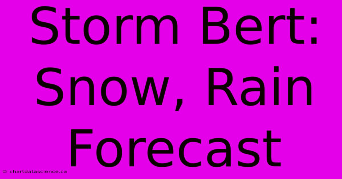 Storm Bert: Snow, Rain Forecast