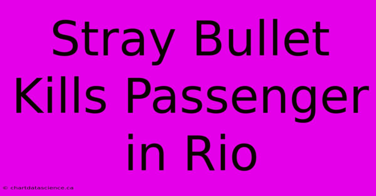 Stray Bullet Kills Passenger In Rio 