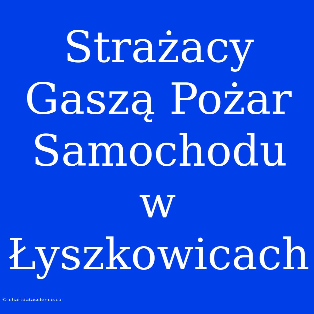 Strażacy Gaszą Pożar Samochodu W Łyszkowicach