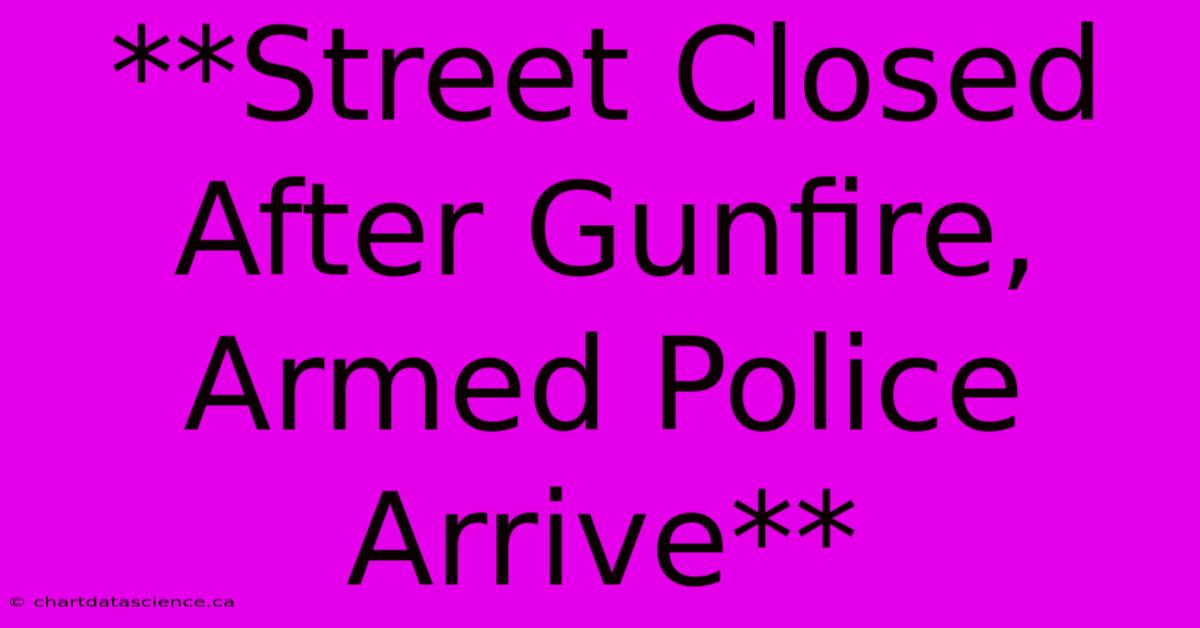 **Street Closed After Gunfire, Armed Police Arrive**