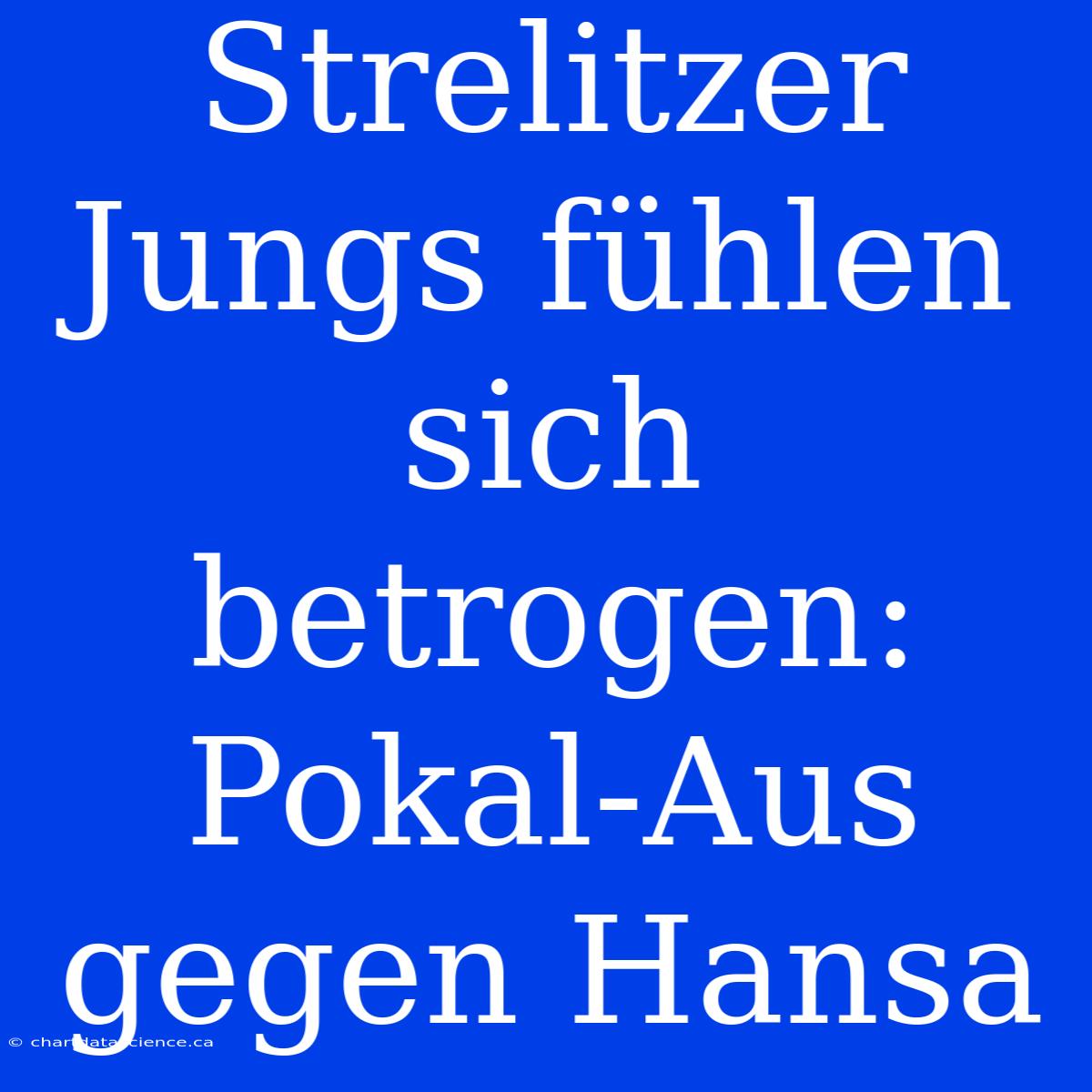 Strelitzer Jungs Fühlen Sich Betrogen: Pokal-Aus Gegen Hansa