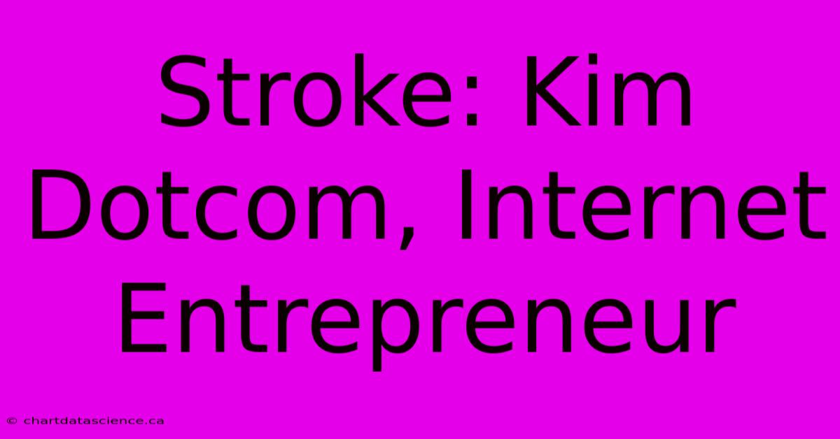 Stroke: Kim Dotcom, Internet Entrepreneur