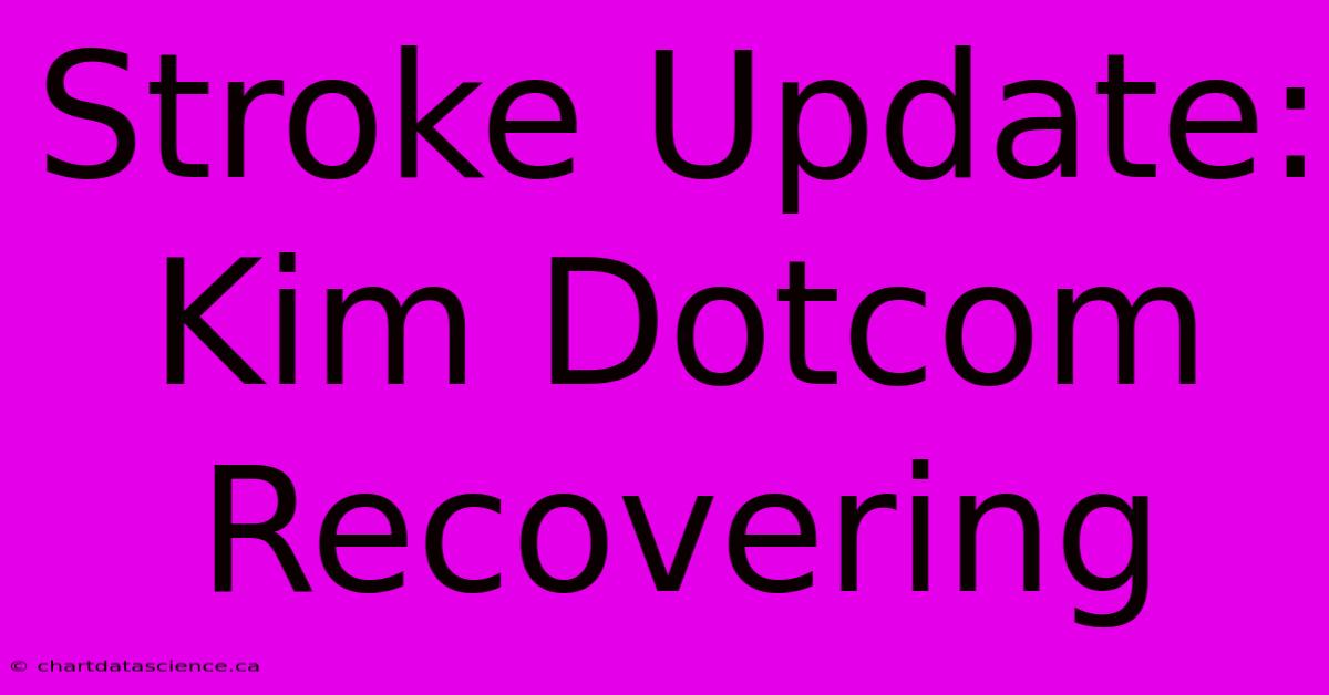 Stroke Update: Kim Dotcom Recovering