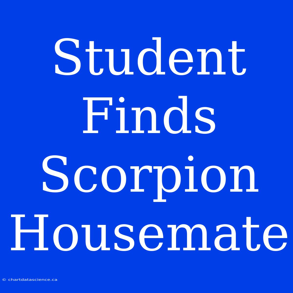 Student Finds Scorpion Housemate