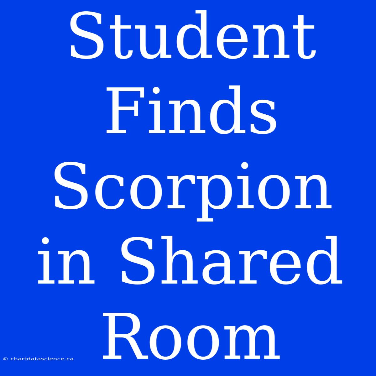 Student Finds Scorpion In Shared Room