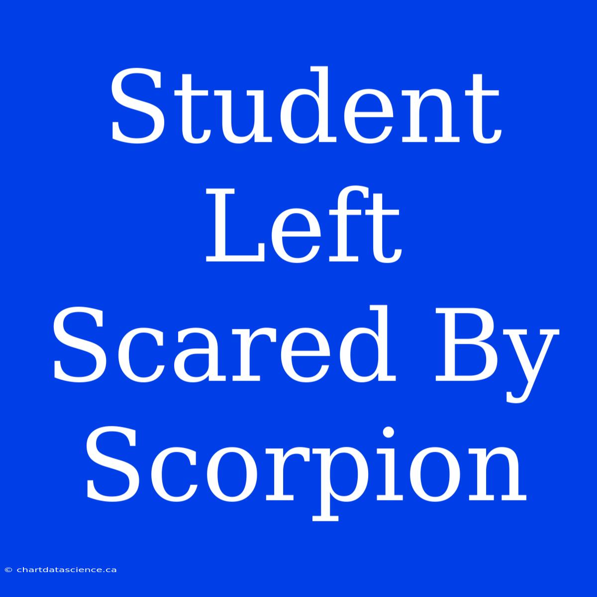 Student Left Scared By Scorpion