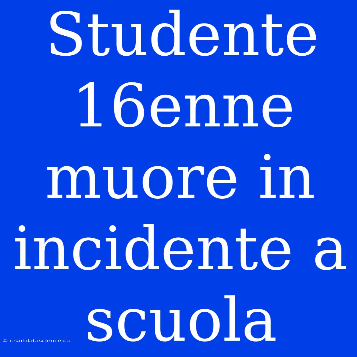 Studente 16enne Muore In Incidente A Scuola