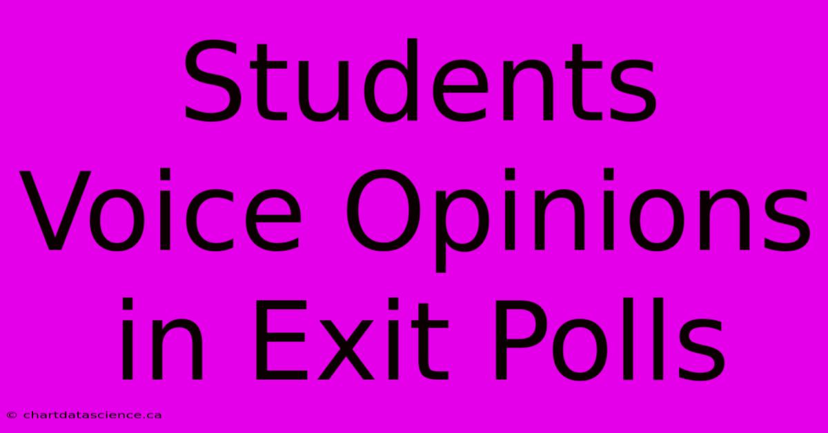 Students Voice Opinions In Exit Polls