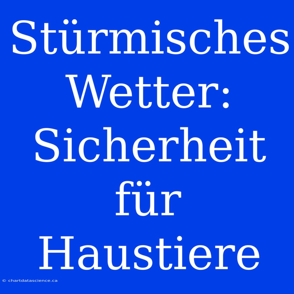 Stürmisches Wetter: Sicherheit Für Haustiere