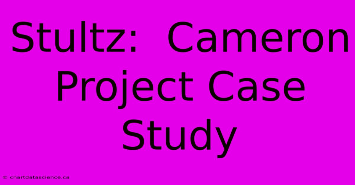 Stultz:  Cameron Project Case Study