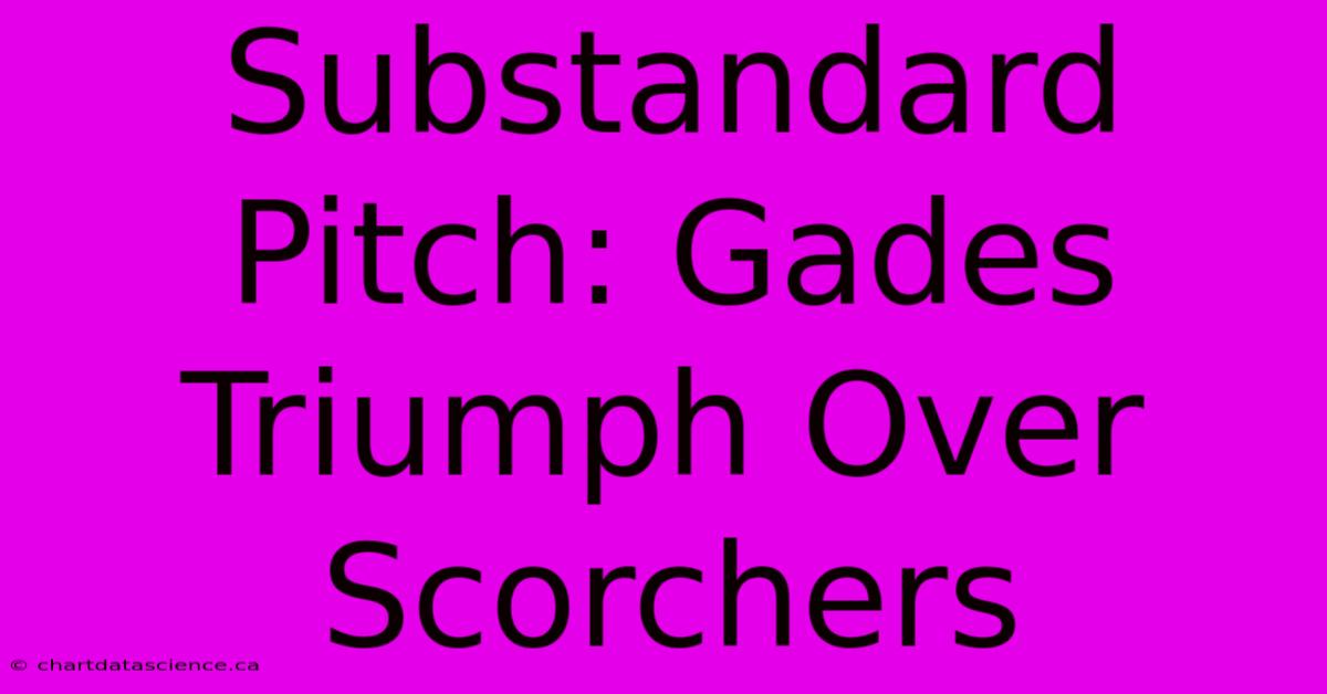 Substandard Pitch: Gades Triumph Over Scorchers