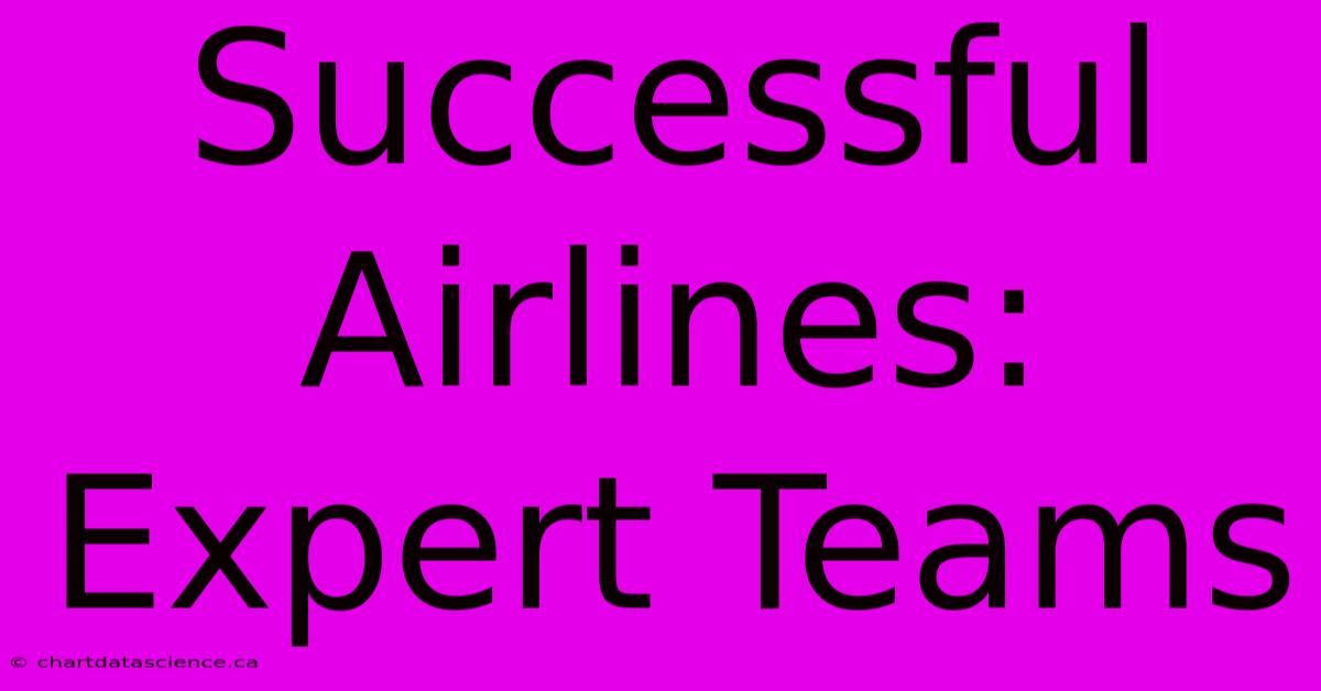 Successful Airlines: Expert Teams