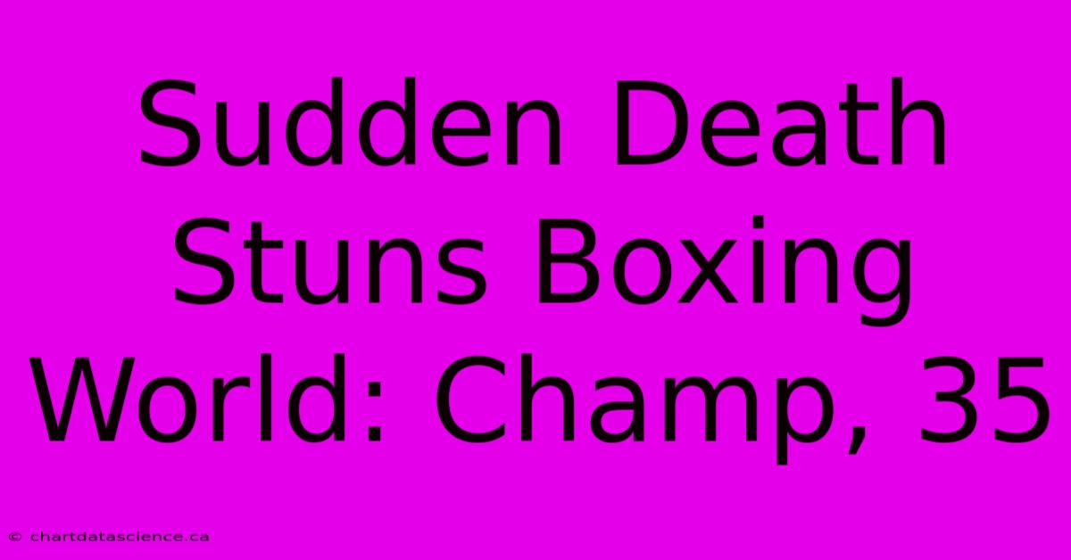 Sudden Death Stuns Boxing World: Champ, 35