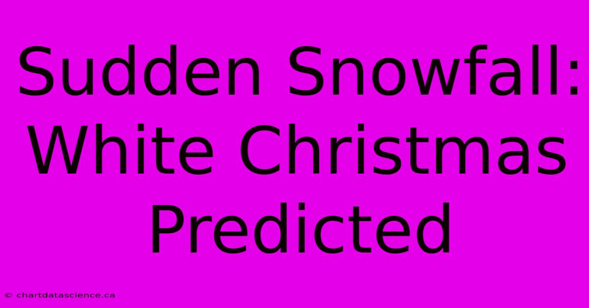 Sudden Snowfall: White Christmas Predicted