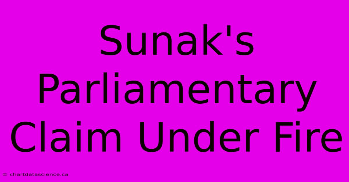 Sunak's Parliamentary Claim Under Fire 