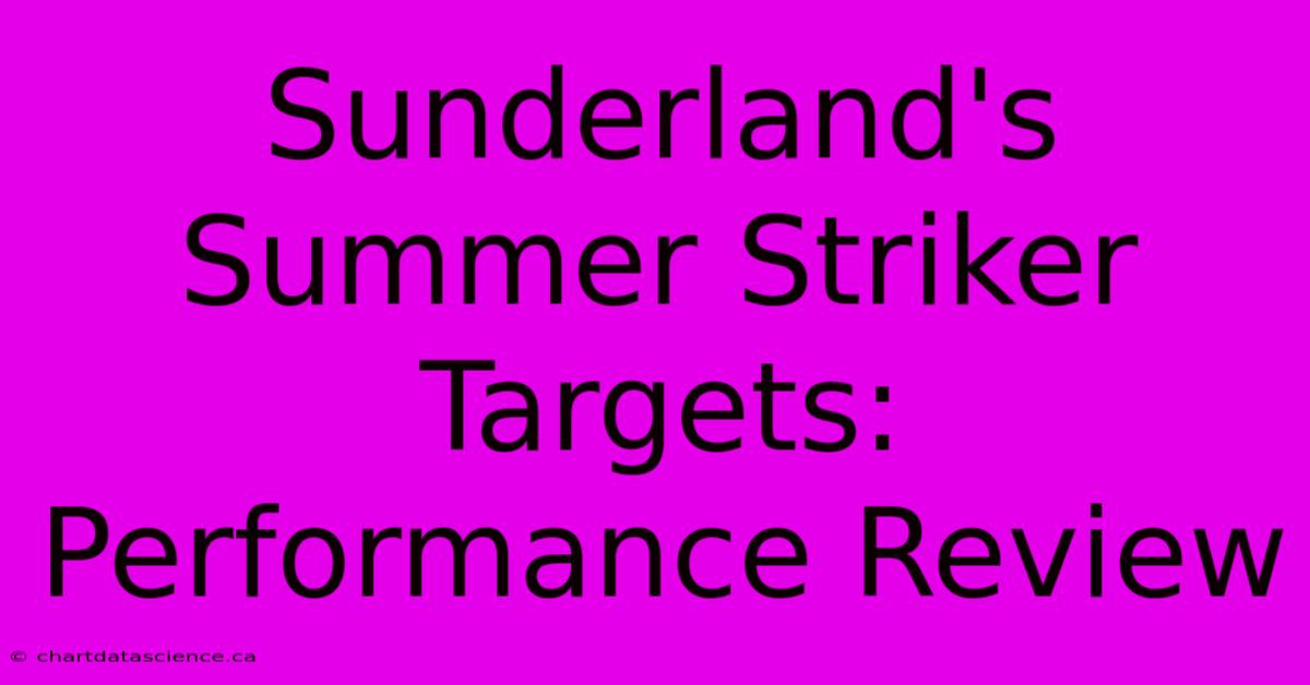 Sunderland's Summer Striker Targets: Performance Review