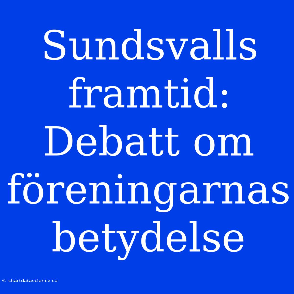 Sundsvalls Framtid: Debatt Om Föreningarnas Betydelse