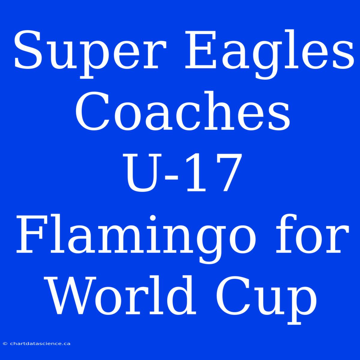 Super Eagles Coaches U-17 Flamingo For World Cup