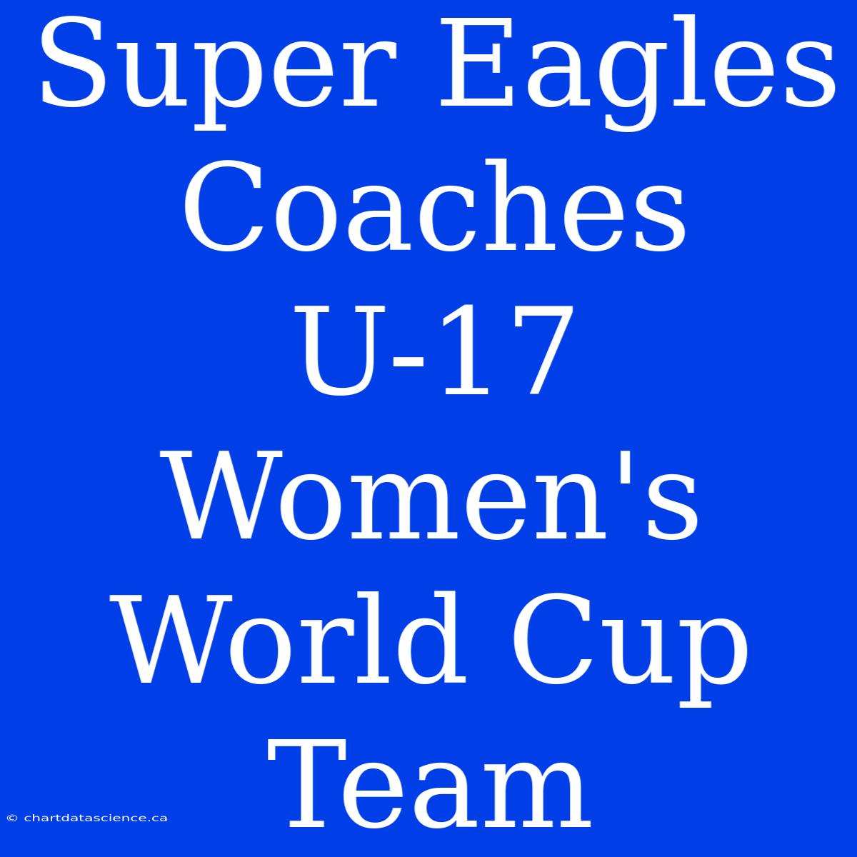 Super Eagles Coaches U-17 Women's World Cup Team