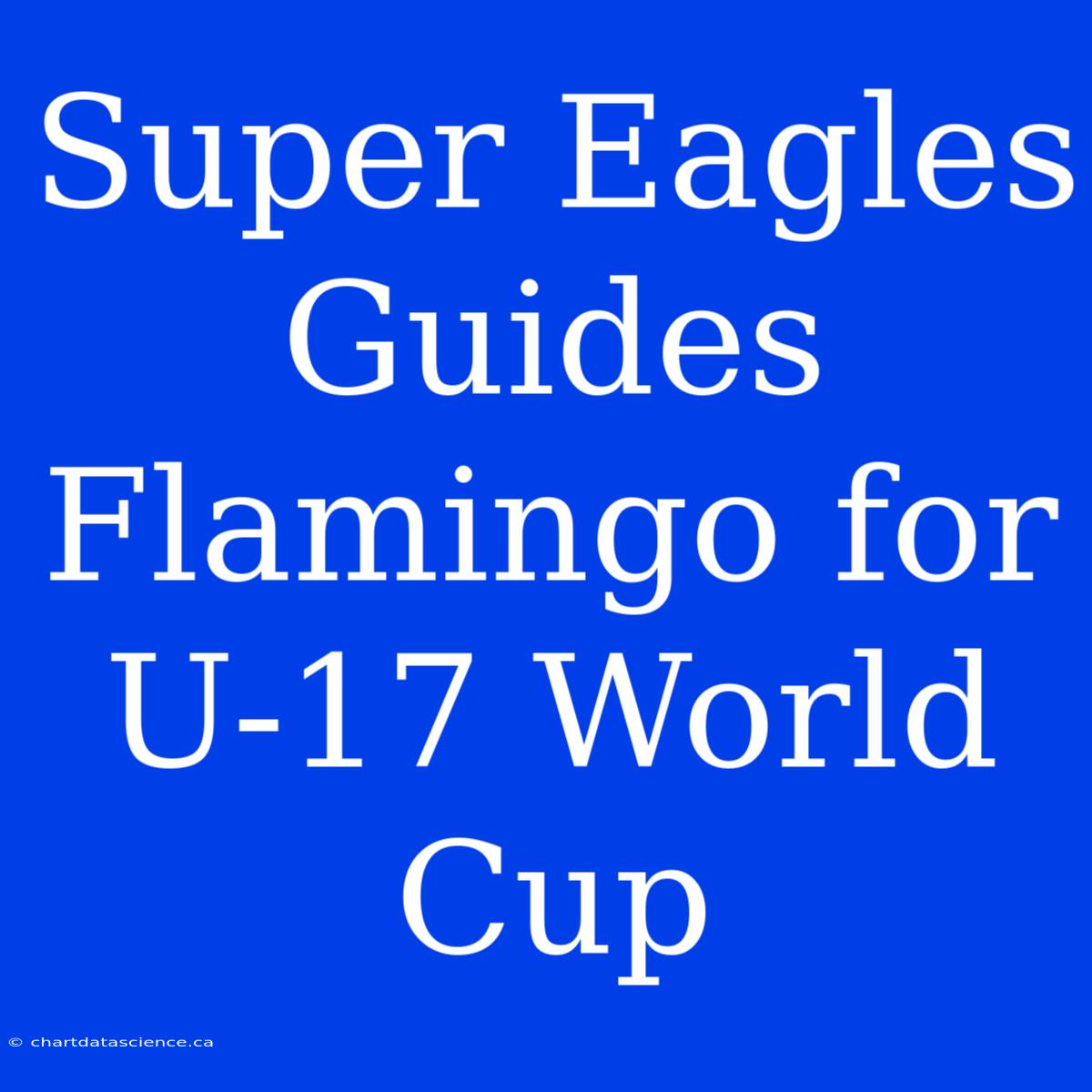 Super Eagles Guides Flamingo For U-17 World Cup