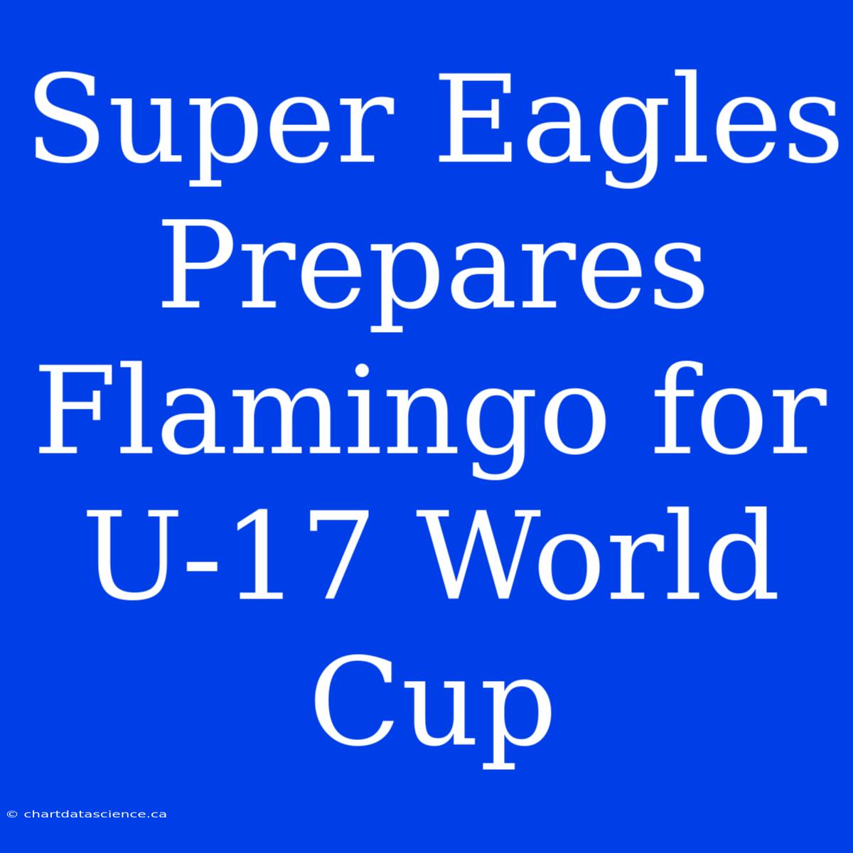 Super Eagles Prepares Flamingo For U-17 World Cup