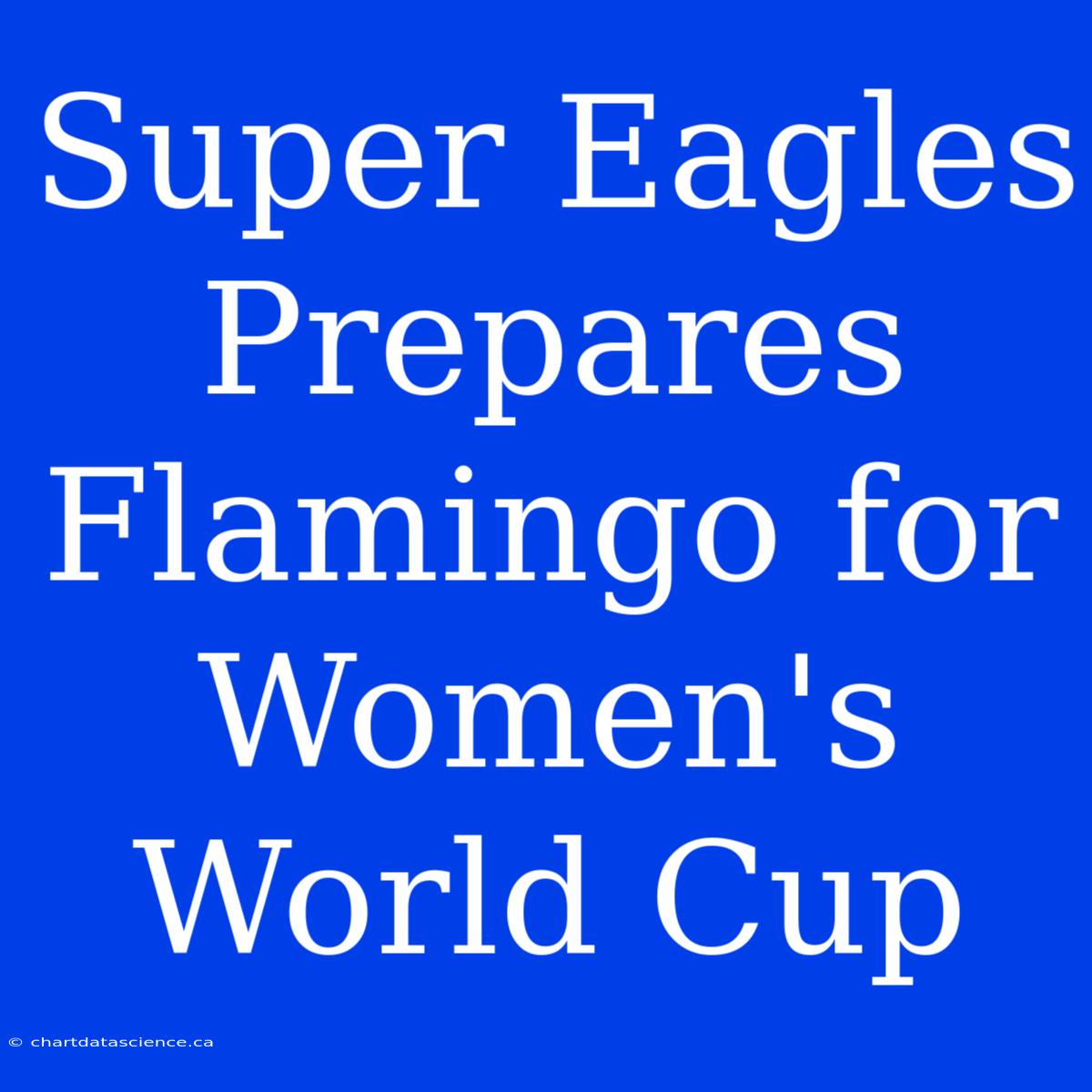 Super Eagles Prepares Flamingo For Women's World Cup