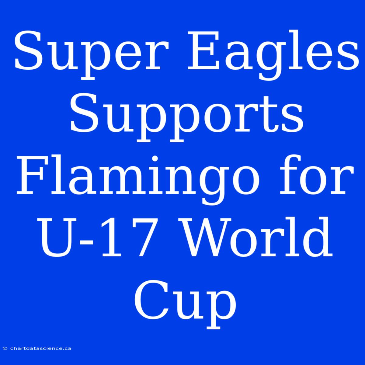 Super Eagles Supports Flamingo For U-17 World Cup