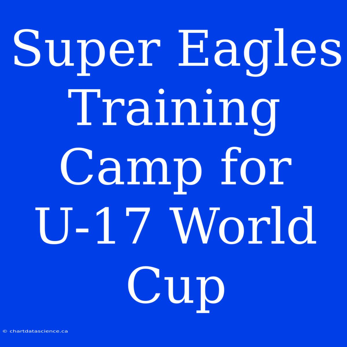 Super Eagles Training Camp For U-17 World Cup