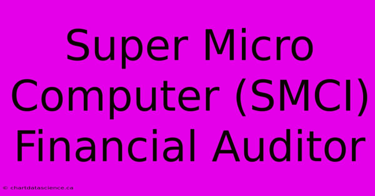 Super Micro Computer (SMCI) Financial Auditor