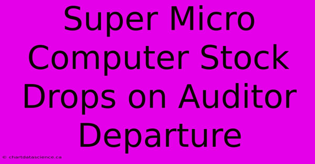 Super Micro Computer Stock Drops On Auditor Departure