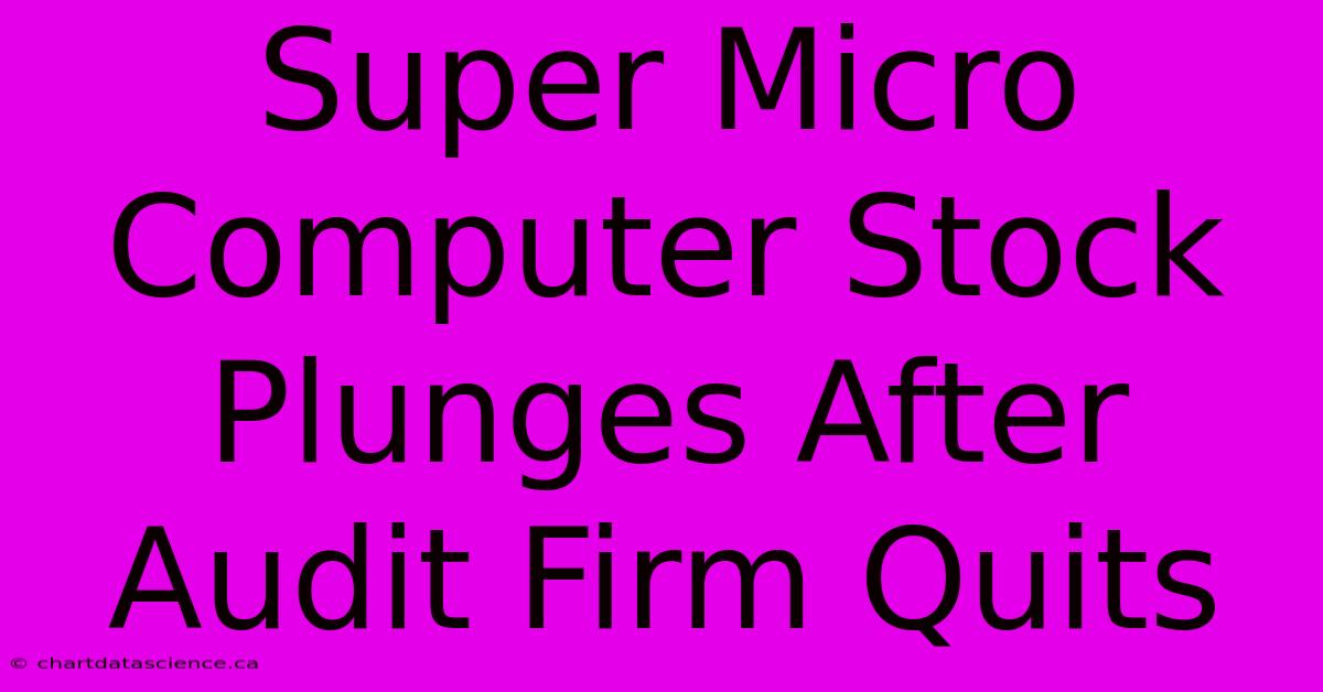 Super Micro Computer Stock Plunges After Audit Firm Quits