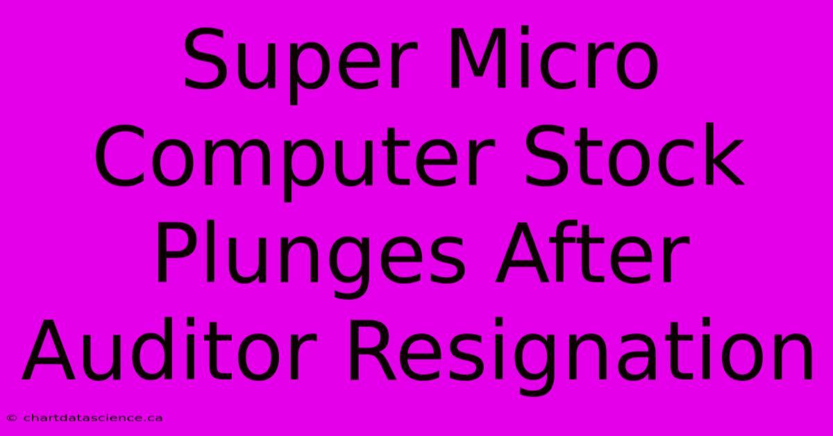 Super Micro Computer Stock Plunges After Auditor Resignation