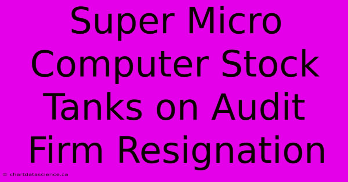 Super Micro Computer Stock Tanks On Audit Firm Resignation