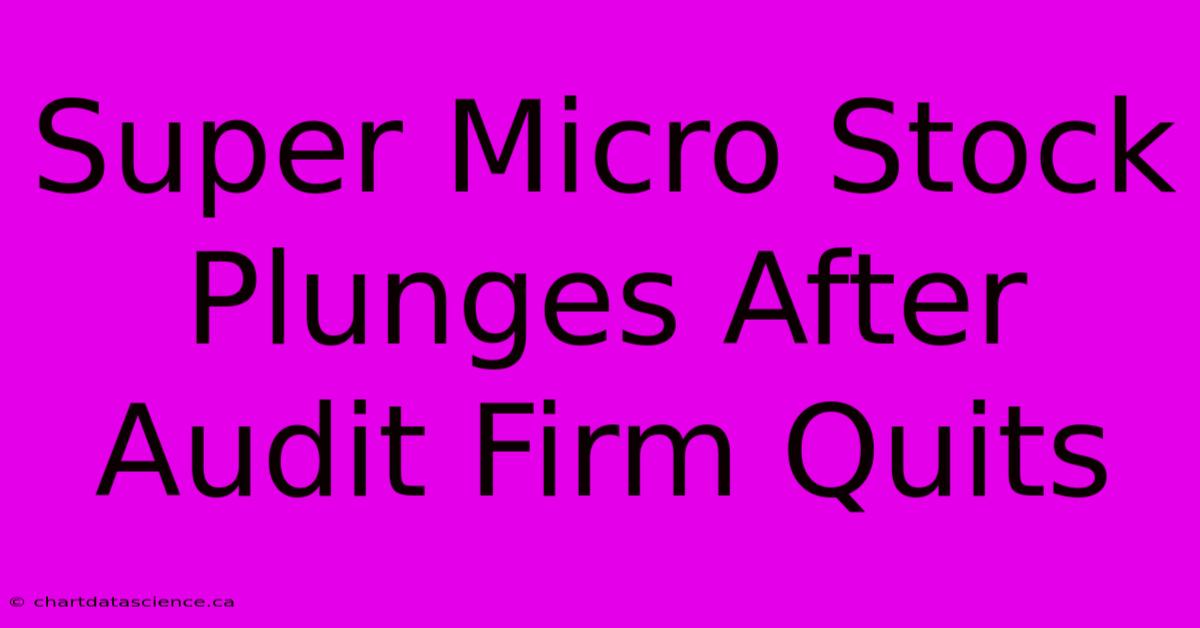 Super Micro Stock Plunges After Audit Firm Quits