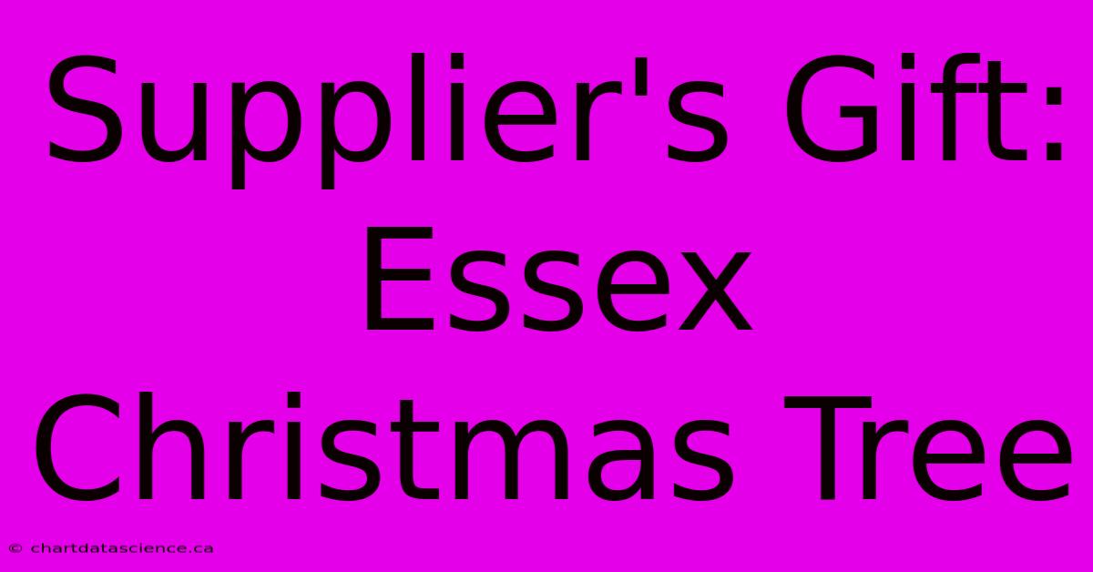 Supplier's Gift: Essex Christmas Tree