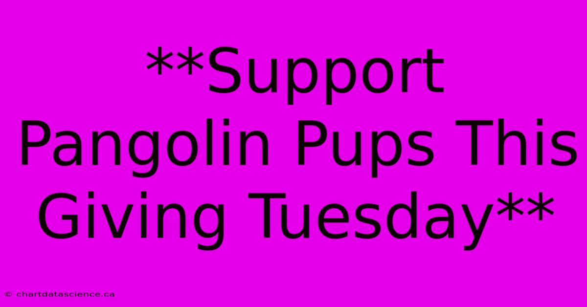 **Support Pangolin Pups This Giving Tuesday**