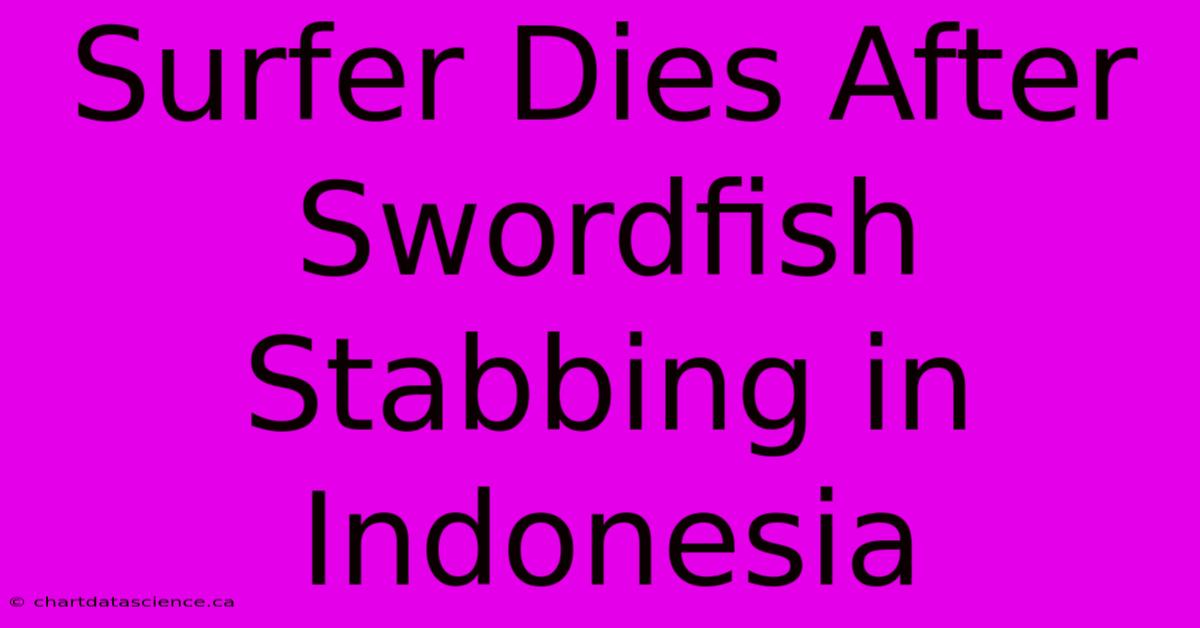 Surfer Dies After Swordfish Stabbing In Indonesia