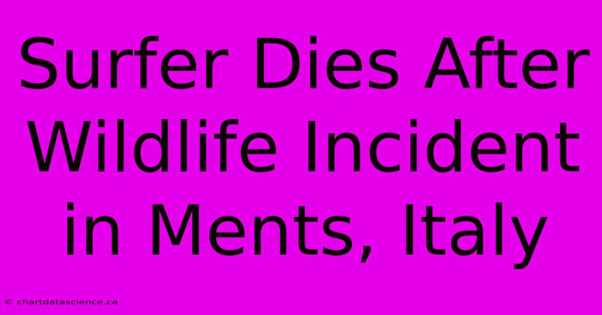 Surfer Dies After Wildlife Incident In Ments, Italy