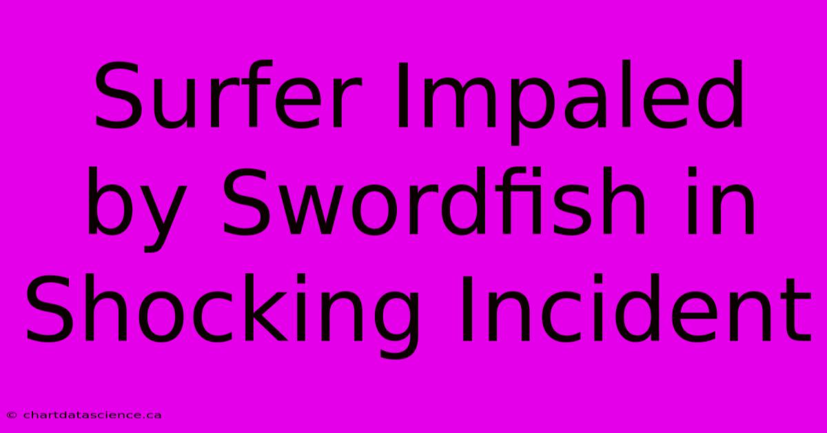 Surfer Impaled By Swordfish In Shocking Incident