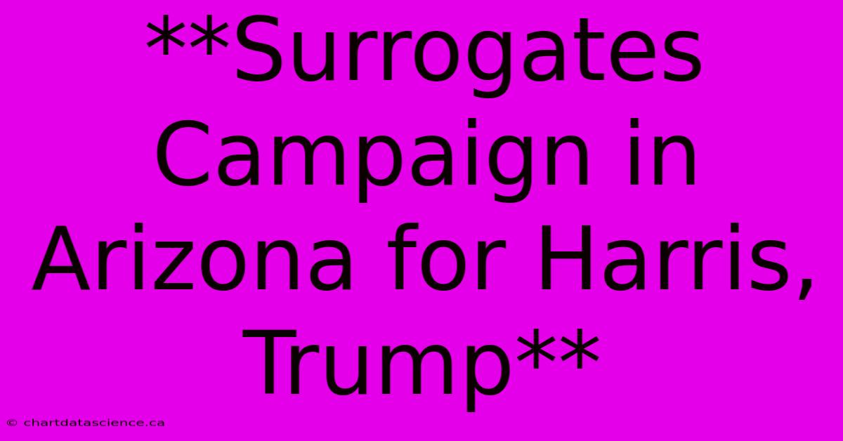 **Surrogates Campaign In Arizona For Harris, Trump** 