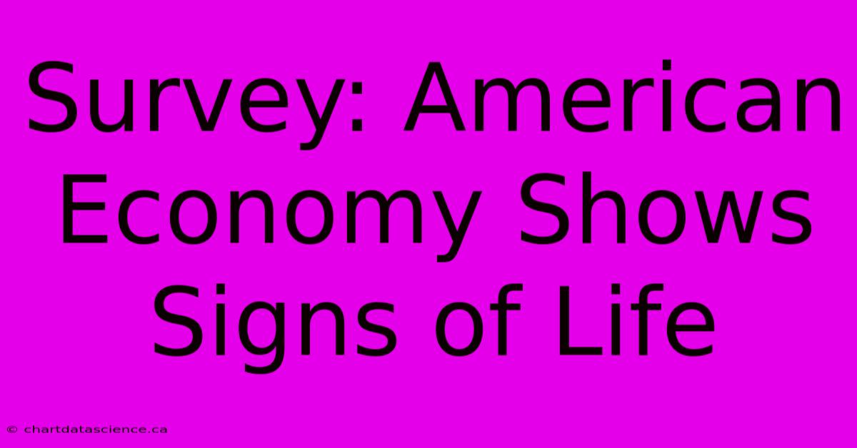 Survey: American Economy Shows Signs Of Life