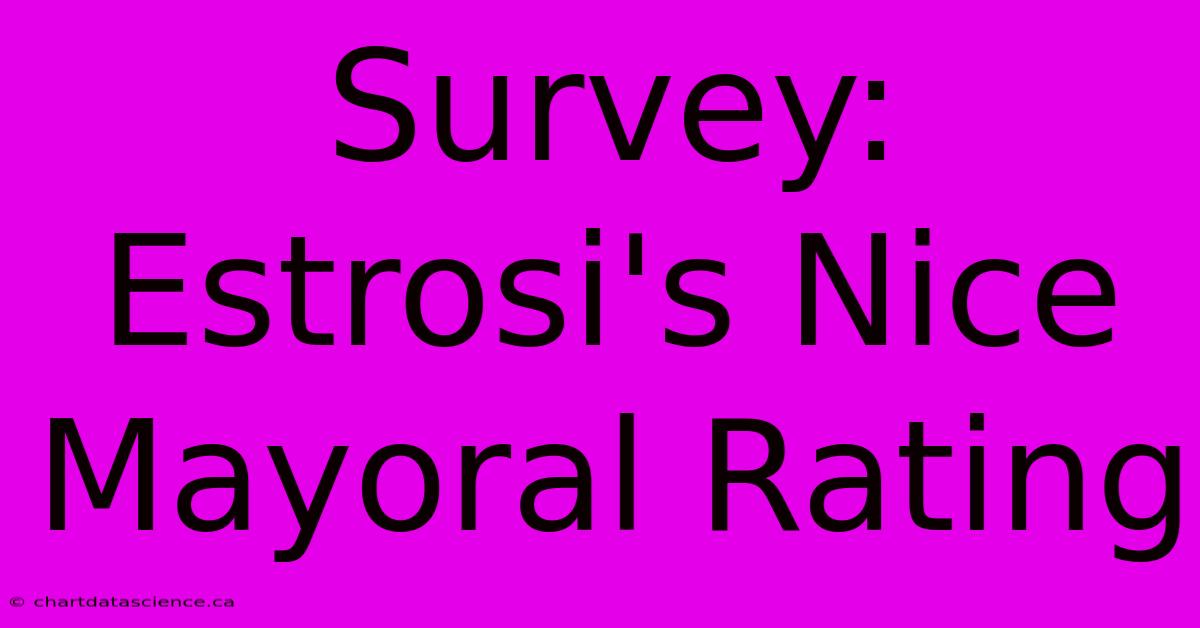 Survey: Estrosi's Nice Mayoral Rating