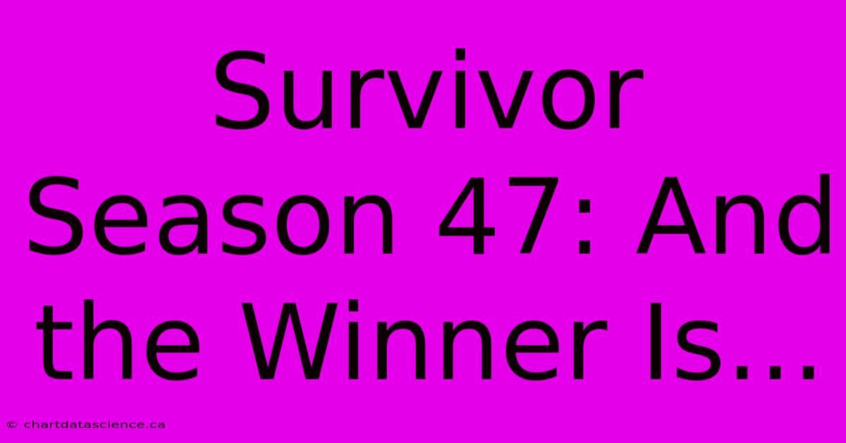 Survivor Season 47: And The Winner Is...